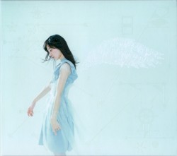 透明な翼