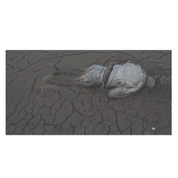 Extinction Process VIII