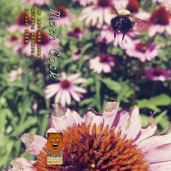 If Beggars Were Horses Wishes Would Ride