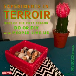 Experiments in Terroir: Best of DO or DIY With People Like Us 2017