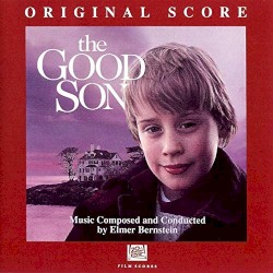 The Good Son