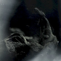 20.11.03 (Live at Studio Gröndahl)