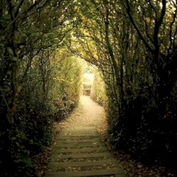 The Beaten Path EP
