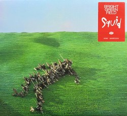 Bright Green Field