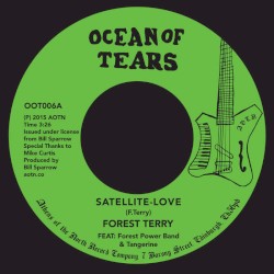 Satellite-Love