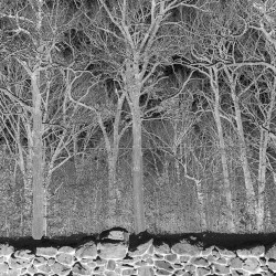 Sunshine and Balance Beams