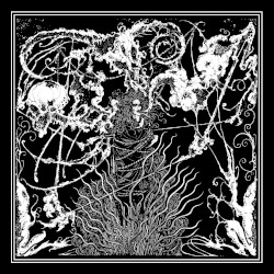 LVTHN / Häxenzijrkell