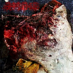 Convulsive Thoughts