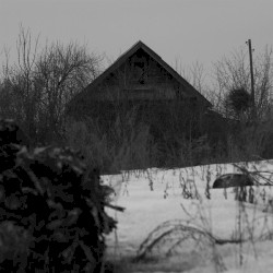 Storm warning / Morning in forest after snowfall