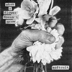 When A Flower Doesn’t Grow