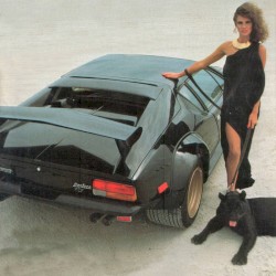 Nothing Looks The Same In The Light