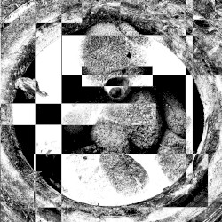 Rhythm Is a Cancer (Snowbeasts remix)