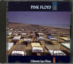 A Momentary Lapse of Reason