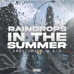 Raindrops in the Summer