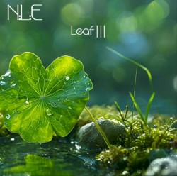 Leaf |||