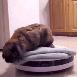 003: Threnody for a World That Ends