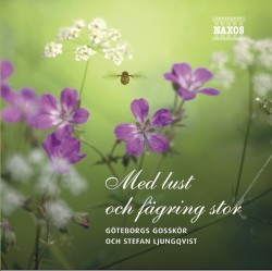 Med Lust och Fägring Stor