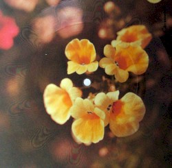 Tyle słońca w całym mieście