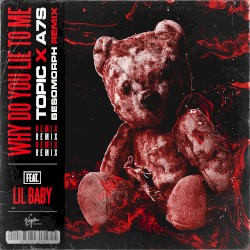 Why Do You Lie to Me (Besomorph remix)