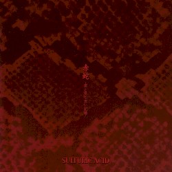 赤蛇 -君と見た赤の記憶-