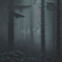 Hate (Slowed)