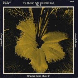The Human Arts Ensemble Live, Vol. II