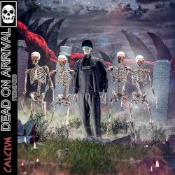 DOA Remix EP