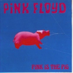 Pink Is the Pig