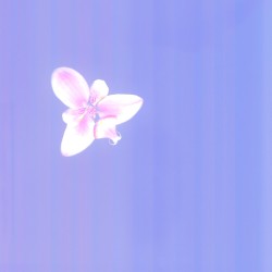 Please don't stop being sweet to me