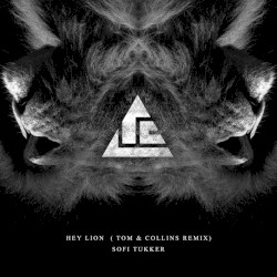 Hey Lion (Tom & Collins remix)