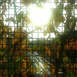 Morning Sun: The Best of Jon Hunt 2008–2013