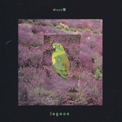 Lagoon