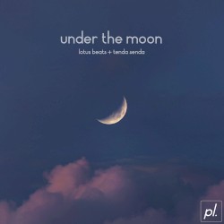 Under the Moon