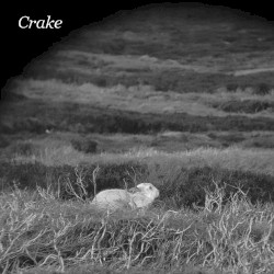 Enough Salt (For All Dogs) / Gef