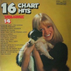 16 Chart Hits, Volume 14