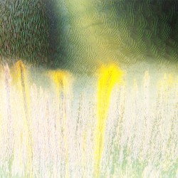 Flower Music