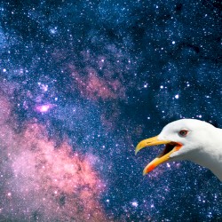 L’universo non esiste