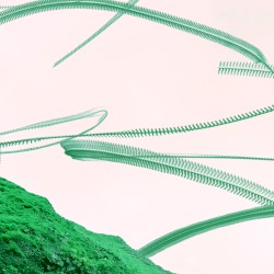 A Great Nothing Was Formed