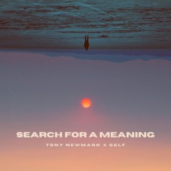 Search for a Meaning