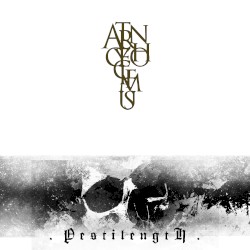 Layering Continuum Unfleshing