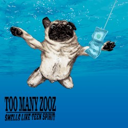 Smells Like Teen Spirit