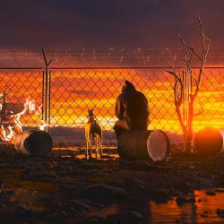 I’m Not (Acoustic)