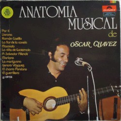 Anatomía musical