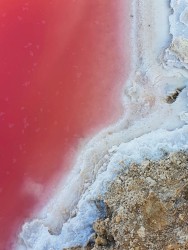 Survey Map of a Paradise Lost : area01