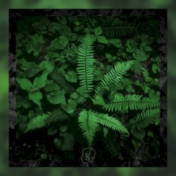 For the Ferns