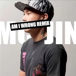 Am I Wrong Remix (Single)