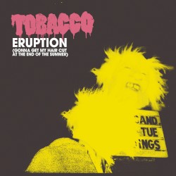 Eruption (Gonna Get My Hair Cut at the End of the Summer)