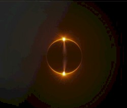 I Still Have Faith in You