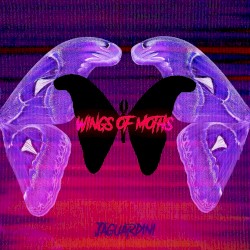 Wings of Moths