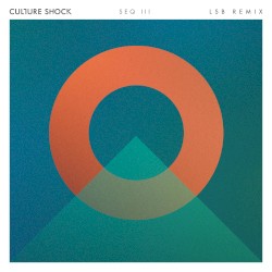 There for You (LSB remix)